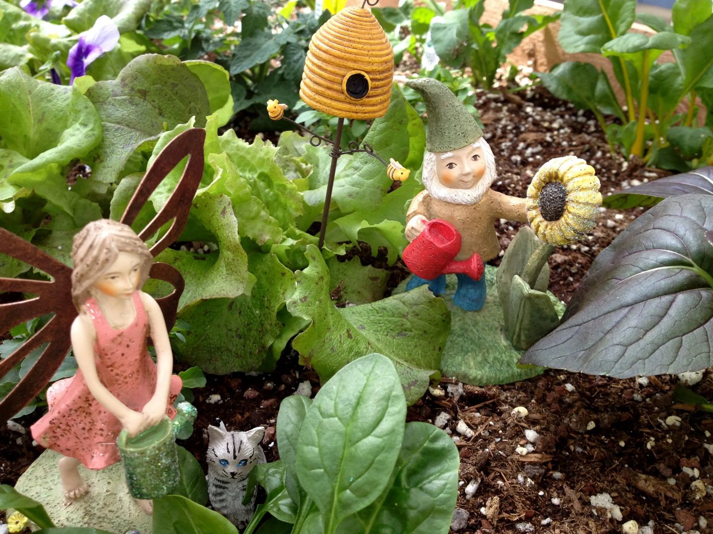 Private Class: Agri-STEAM Gnome Salad Garden Workshop