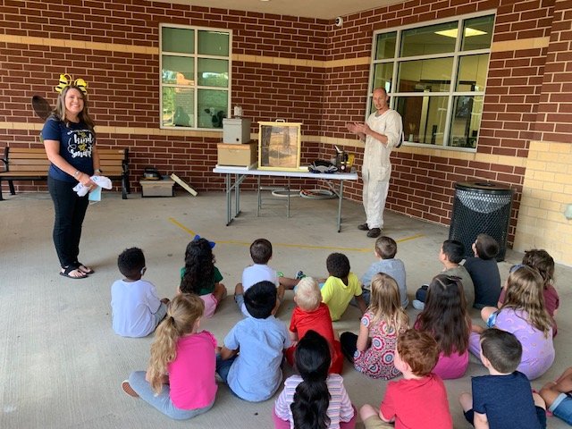 Private Honeybee Show-and-Tell with Optional Honey Tasting