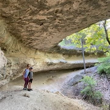 Private Nature Walk: Discover Medicinal Plants near Fossil Rim