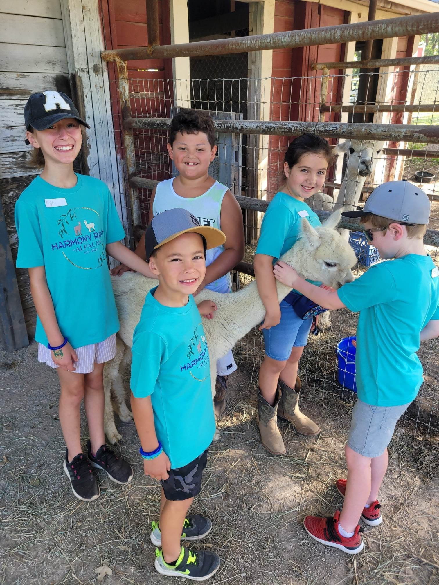 Field Trip: Meet the Alpacas at a North Texas Ranch