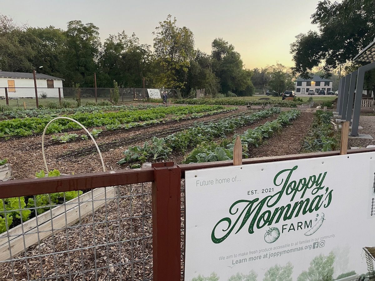 Explore Dallas Freedman Town History & Gardening at Joppy Momma’s Farm