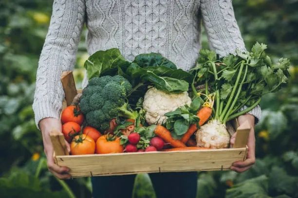 Growing a Kitchen Garden