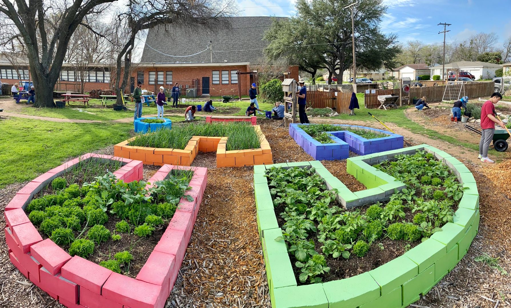 Field Trip: Exploring the Garden Ecosystem in Fort Worth