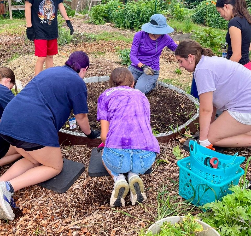 Composting Made Easy: Hands-On Workshop