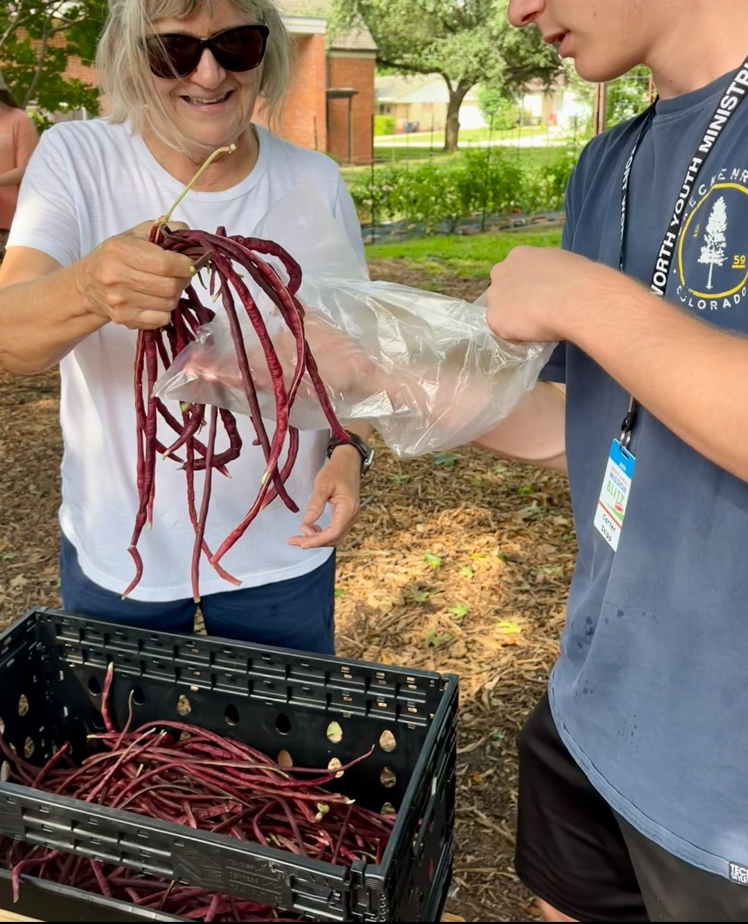Field Trip: Become a Soil Scientist in Fort Worth