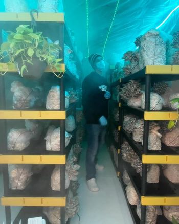 Grow Your Own Mushrooms: Hands-On Workshop & Farm Tour